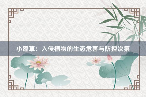 小蓬草：入侵植物的生态危害与防控次第